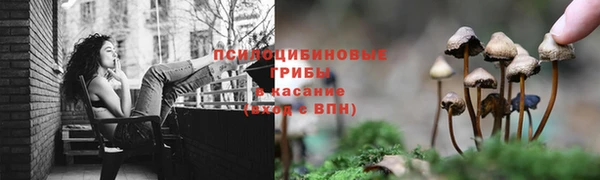 стафф Беломорск