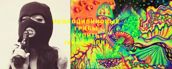 стафф Беломорск